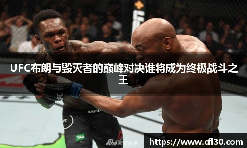 UFC布朗与毁灭者的巅峰对决谁将成为终极战斗之王