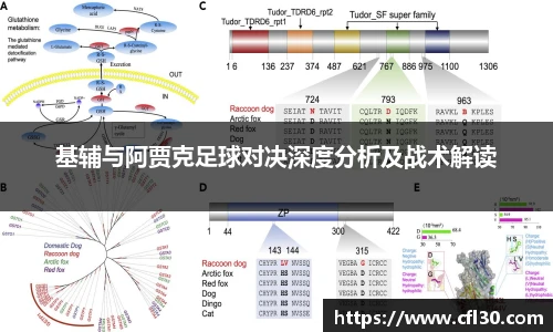 基辅与阿贾克足球对决深度分析及战术解读